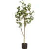 Kwantum Kunstplanten & Kunstbloemen | Kunstboom Eucalyptus In Pot Groen