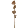 Kwantum Kunstplanten & Kunstbloemen | Kunsttak Capiz Taupe