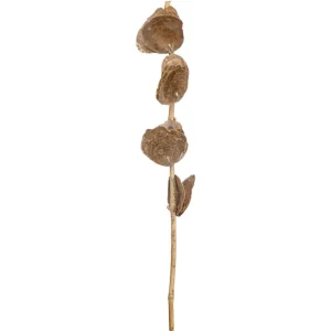 Kwantum Kunstplanten & Kunstbloemen | Kunsttak Capiz Taupe