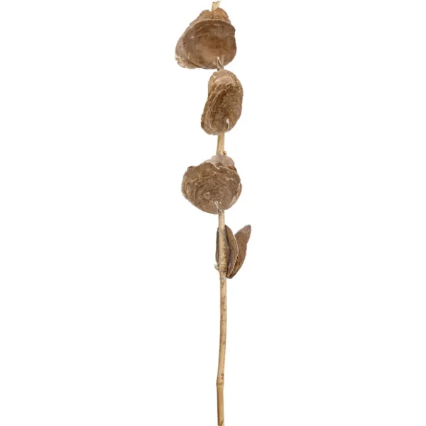 Kwantum Kunstplanten & Kunstbloemen | Kunsttak Capiz Taupe